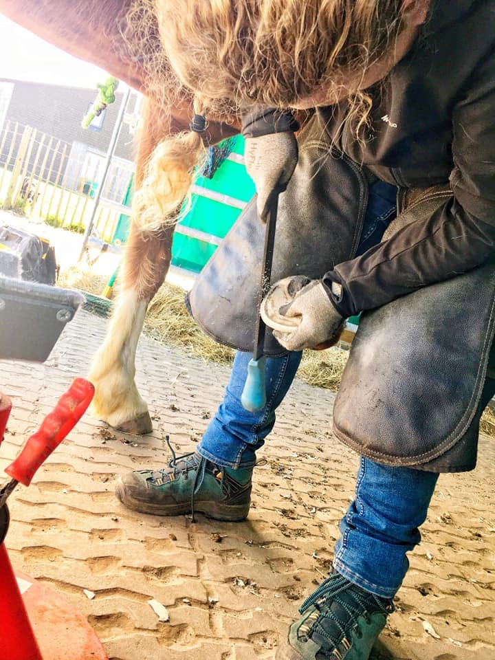 Gehurkt wordt de opgetilde hoef van een paard gevijld