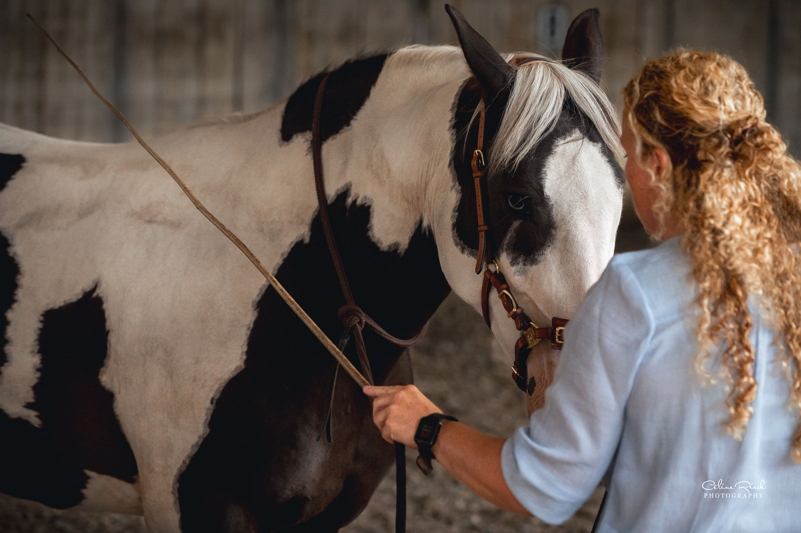 Heidi geeft grondwerk in de binnenmanege aan haar zwart-wit bonte paard