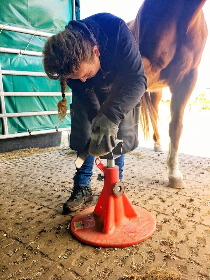 Hoefverzorging aan een voskleurig paard op een rode hoefbok